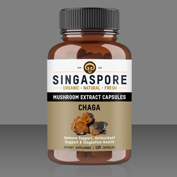 Chaga Extract Capsules