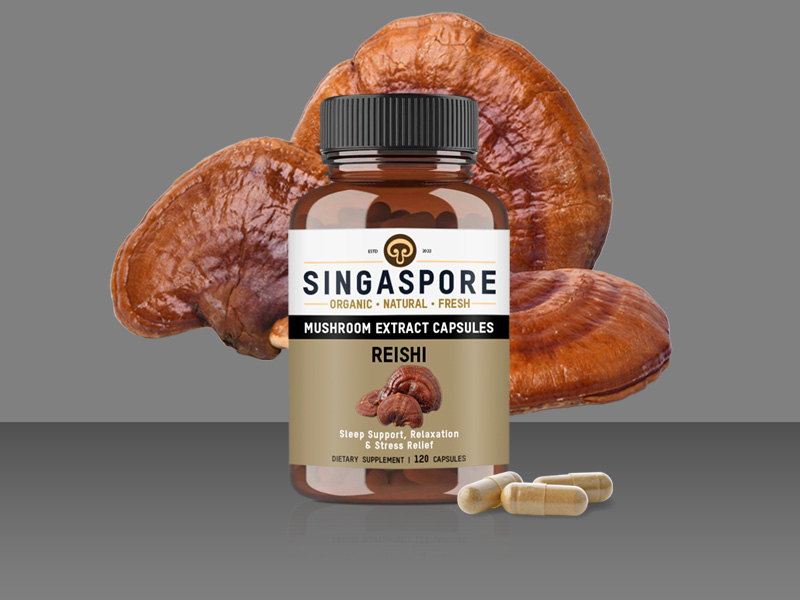 Reishi Extract Capsules - SingaSpore