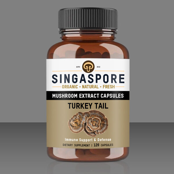 Turkey Tail Extract Capsules