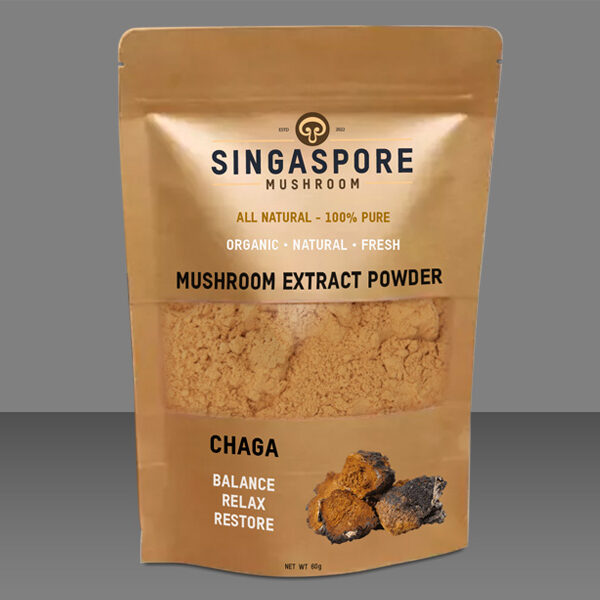 Chaga Extract Powder