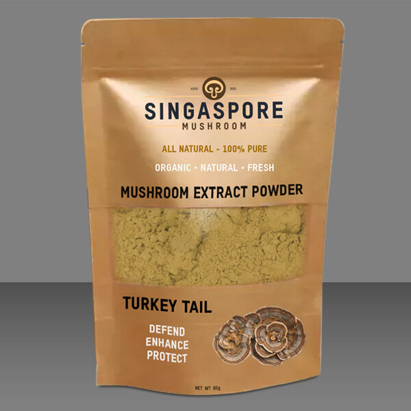 Turkey Tail Extract Powder